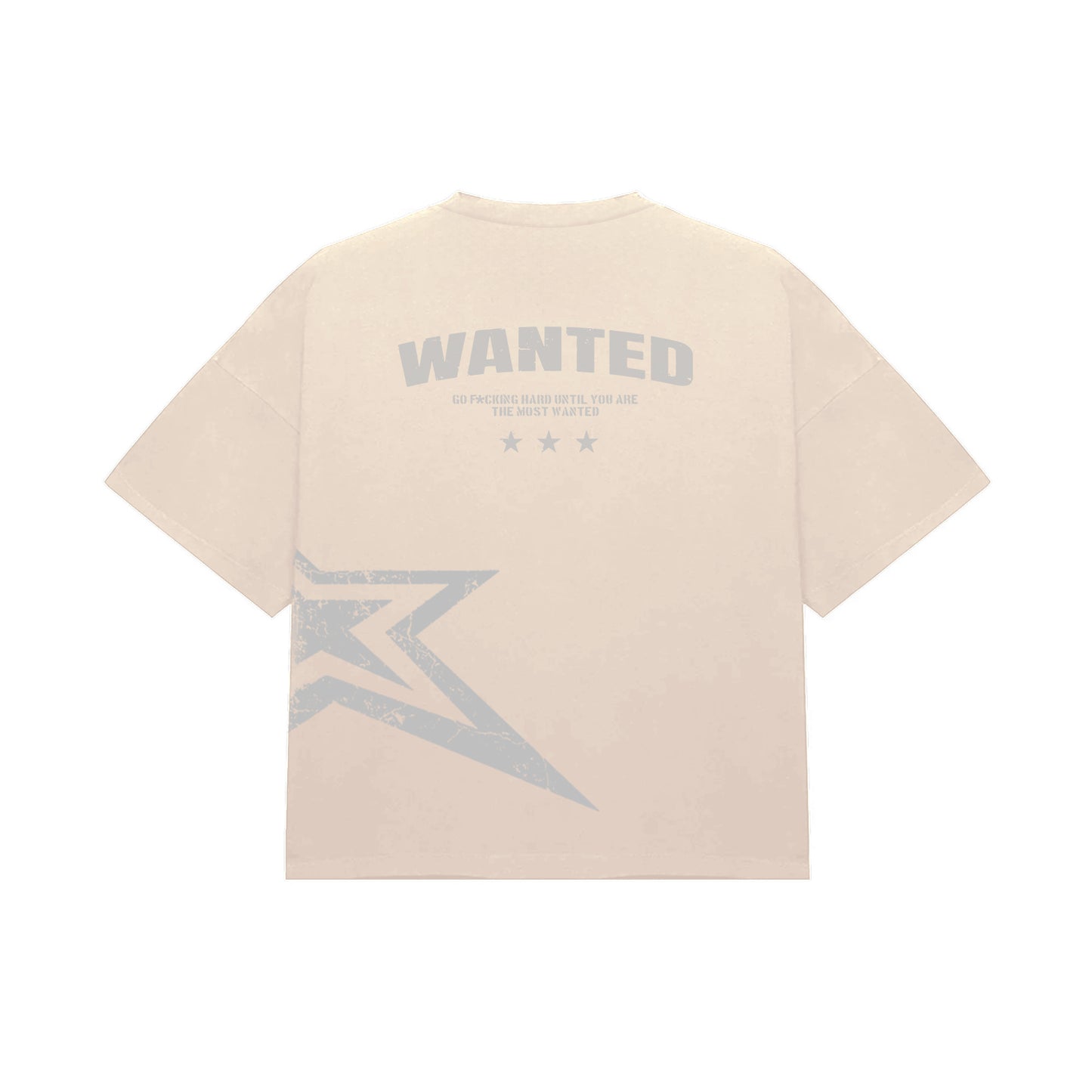 Money Makers Beige Boxy Tee